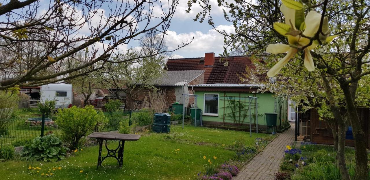 FerienGnevkow45 - Mit dem Zug direkt ins Grüne - Entspannung inklusive Exterior foto